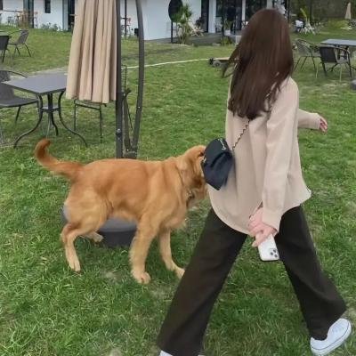 飙风天王